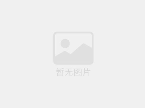 气体检测仪厂家哪个口碑最好？行业真实口碑深度解析与选购指南